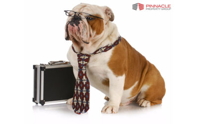 Is your Property Tax Attorney a Paper-Pusher or Bulldog?